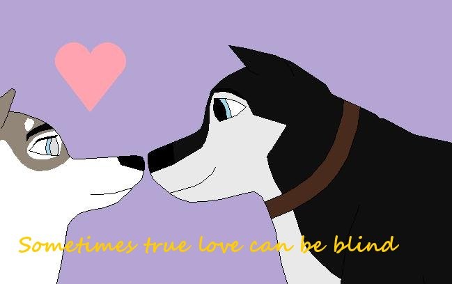 Sometimes true love can be blind