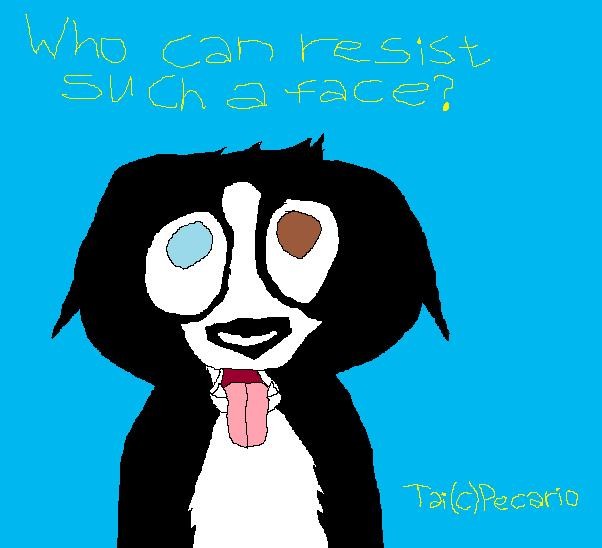 who can resist?