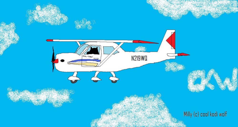 MIL-CKW