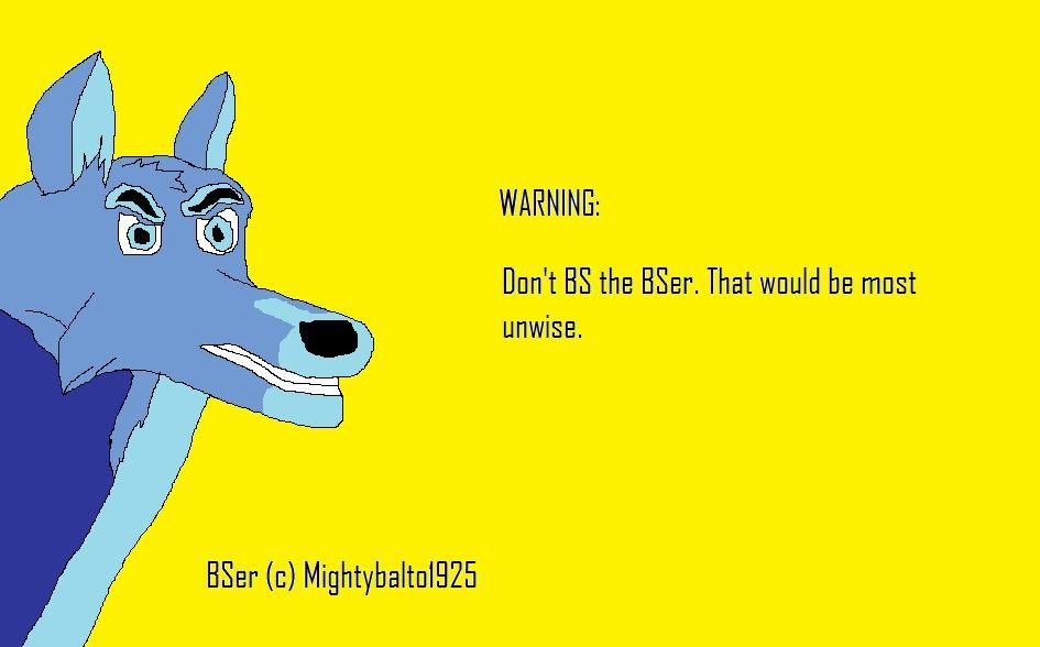 DON'T BS THE BSER