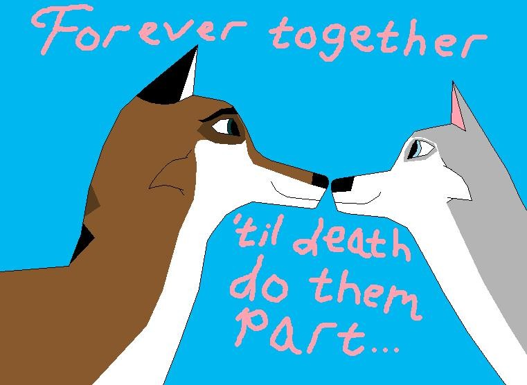 'til death do them part