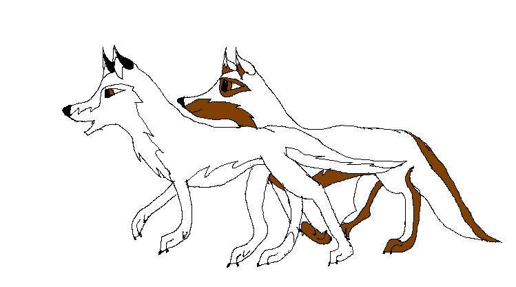 Nitall'a and grounder