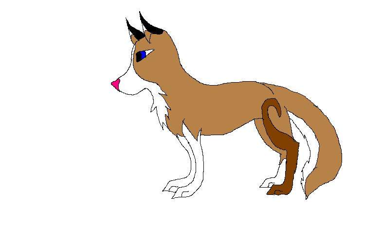 Bounder redesigned