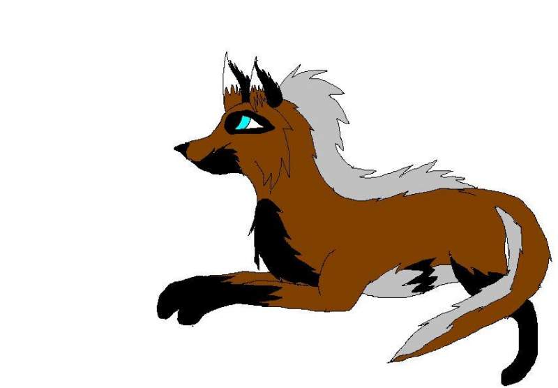 Harry, a male wolf with a dirty secret