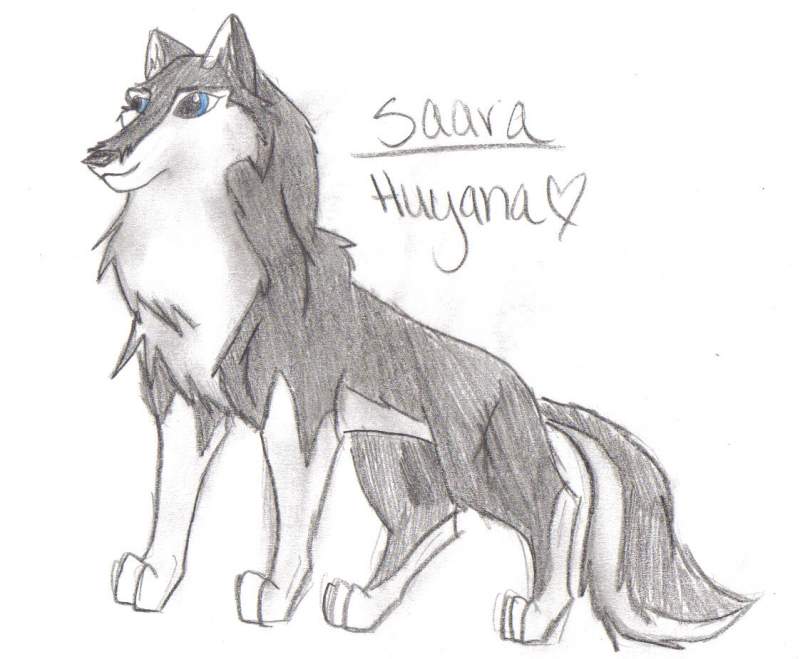Saara