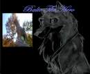 a drawling of balto