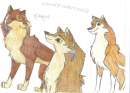 Aleu, Gahege and Tawny