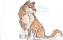 Tawny as a puppy