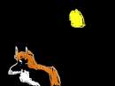Wolf with the moon