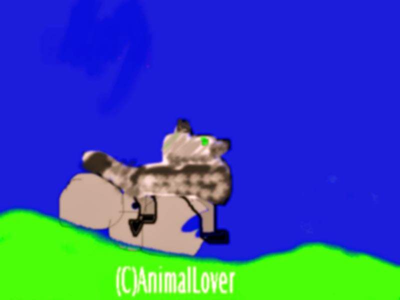 Random wolf III