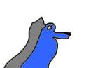 Learnin's how to draw