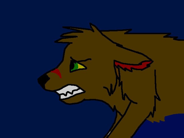 I Dont know