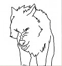 Paul sketch/ wolf lineart