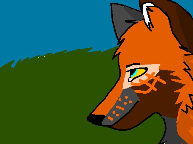 Free Adoptable