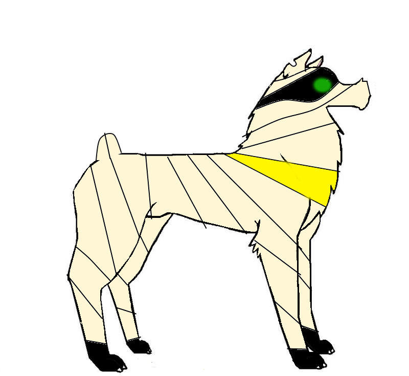 Zookum