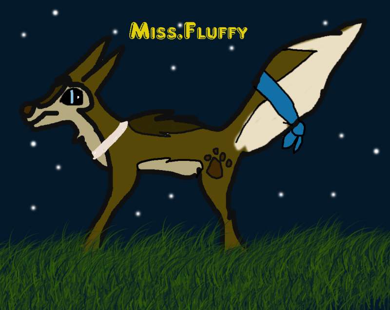 Miss. Fluffy
