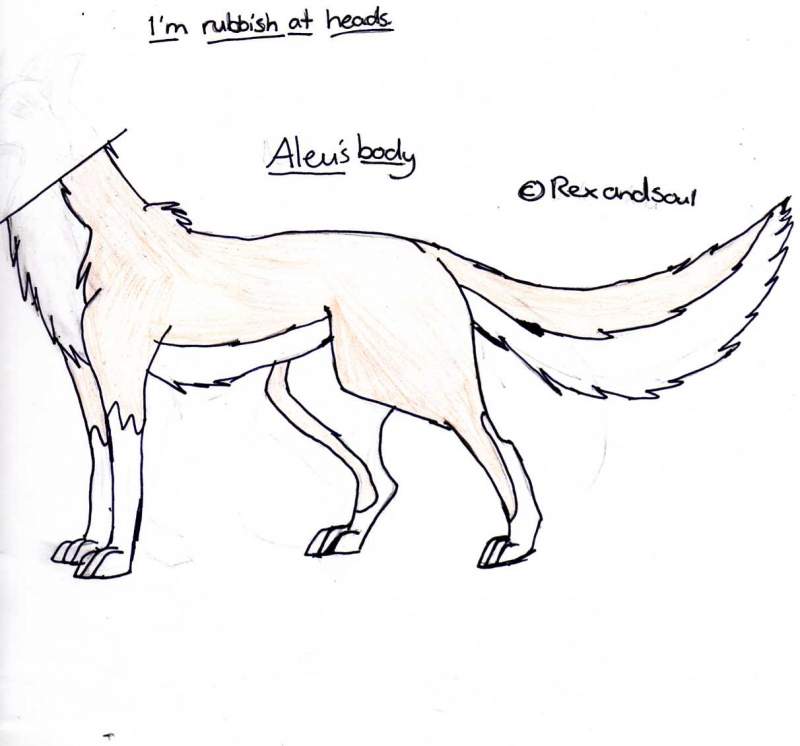 Aleu's body