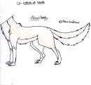 Aleu's body