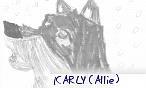 ICARLY (Allie)