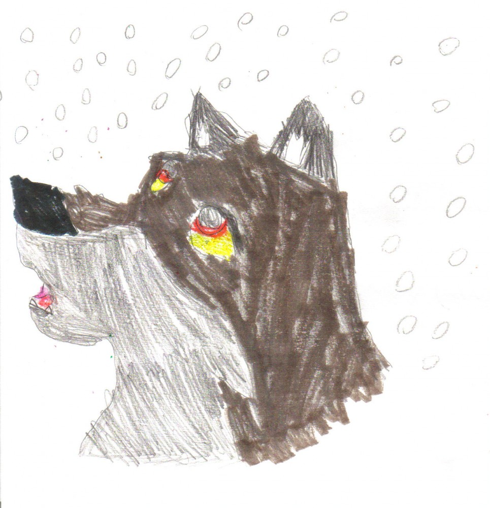 balto