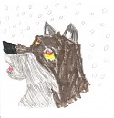 balto