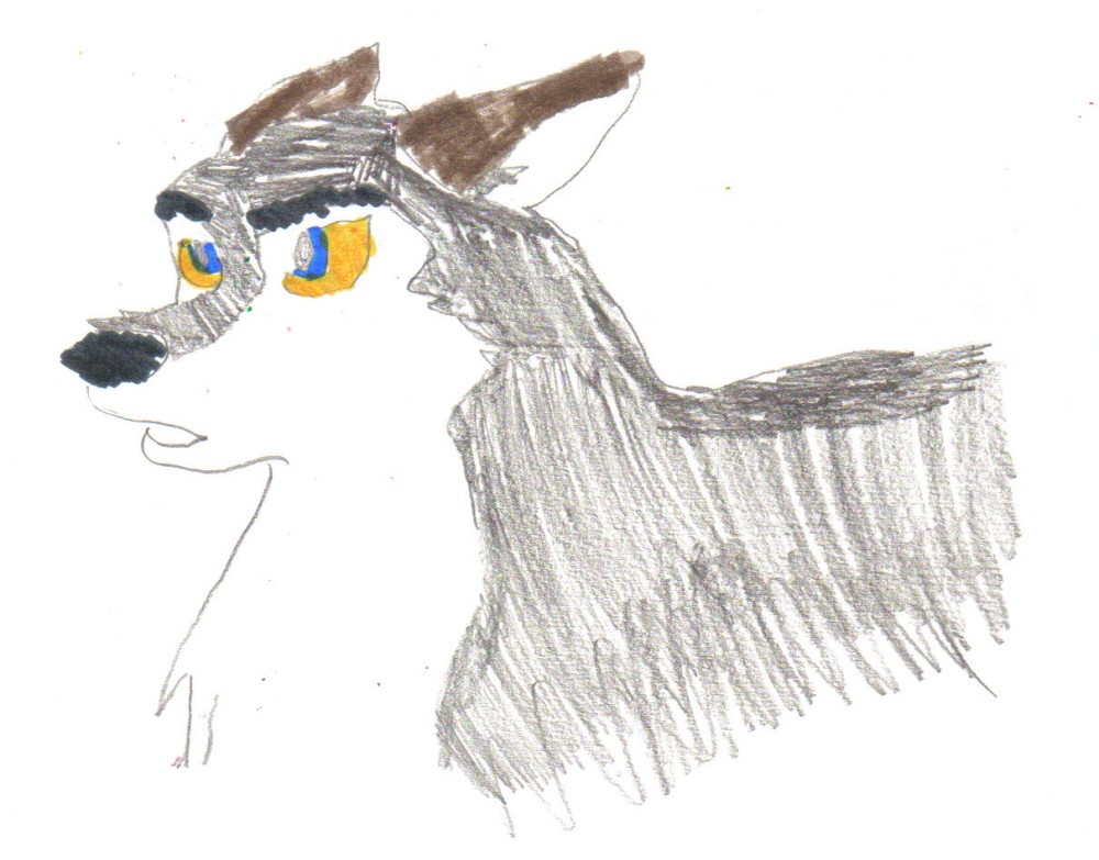 Aleu