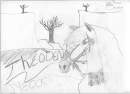 Theoden