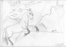 Kirk Winged Stallion