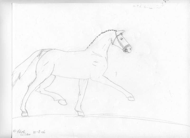 Dressage Horse - Extended Trot