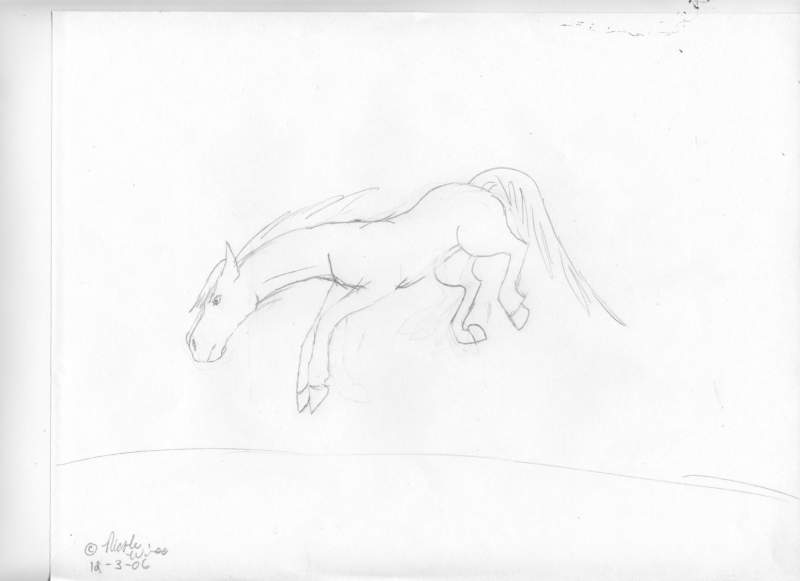 Bucking Horse