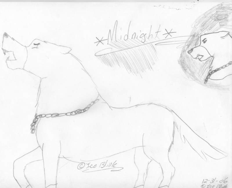 Midnight