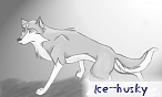 ice_husky