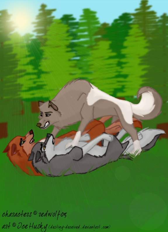 Gift for Redwolf03