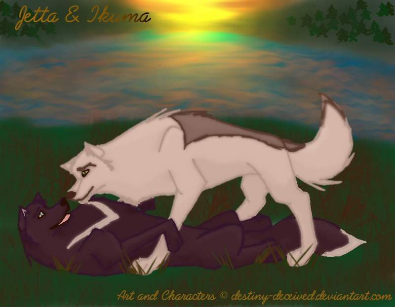 Jetta and Ikuma