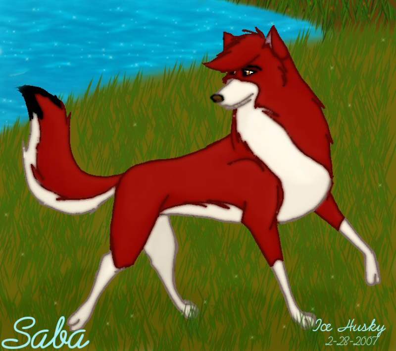 Saba