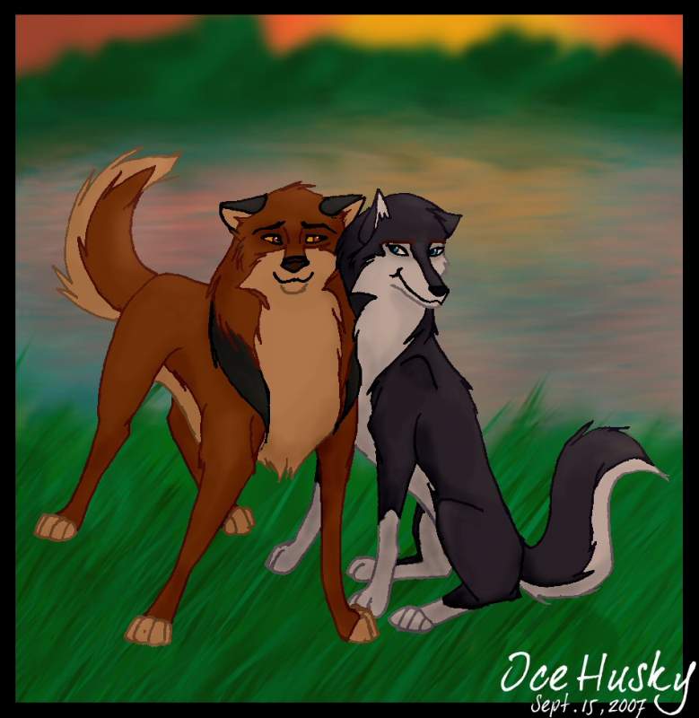 Affection