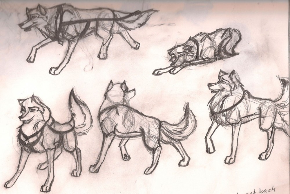 Sienna Sketches