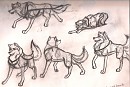 Sienna Sketches