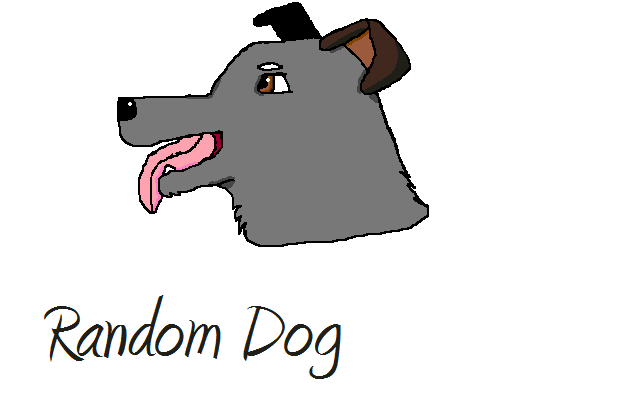 Random Dog