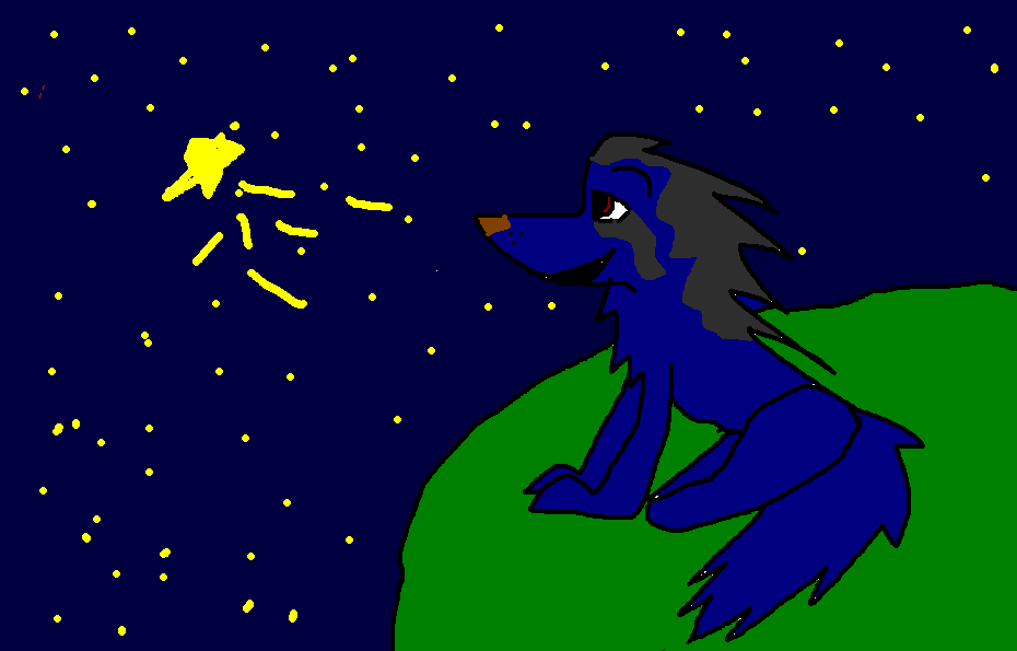 Star Gazer