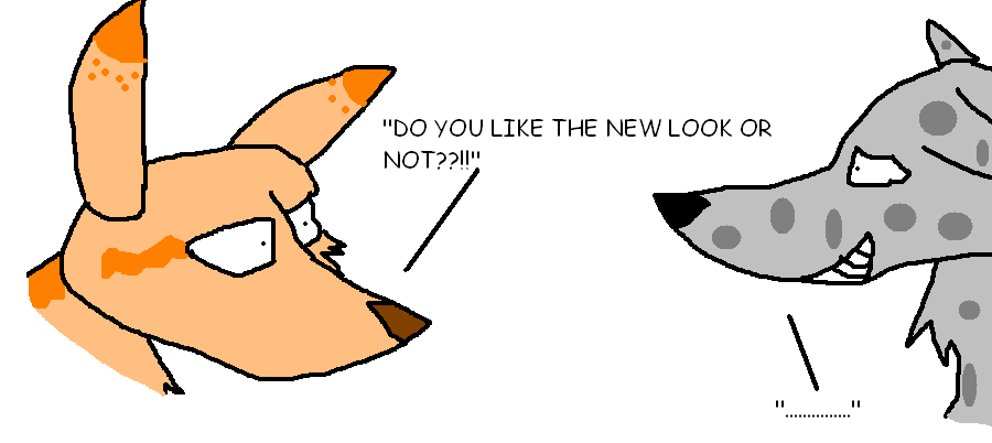 The New Look
