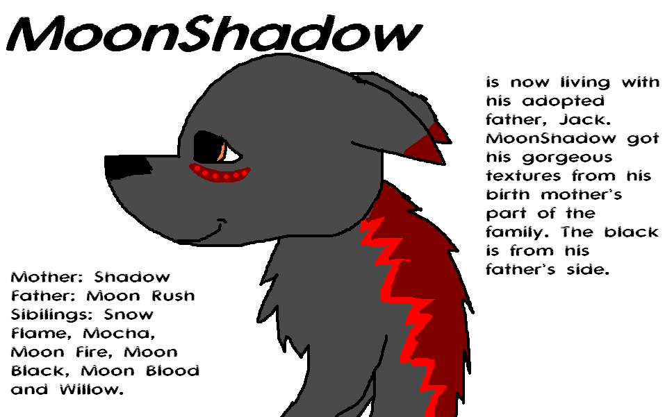 *NEW CHARACTER* MoonShadow