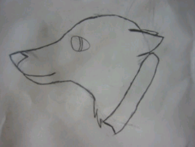 Wolf Sketch