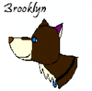Brooklyn Avatar