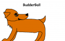 BudderBall
