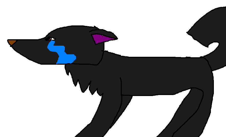 Minight
