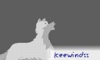 Iceewindss
