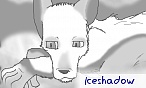 iceshadow