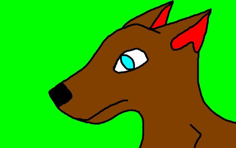... a dog