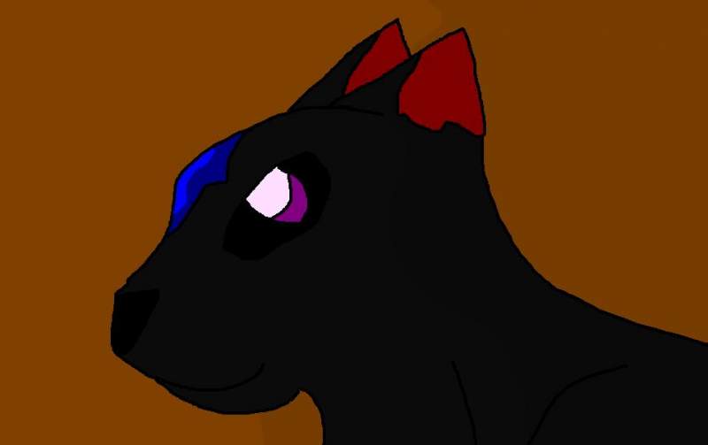 starwolf